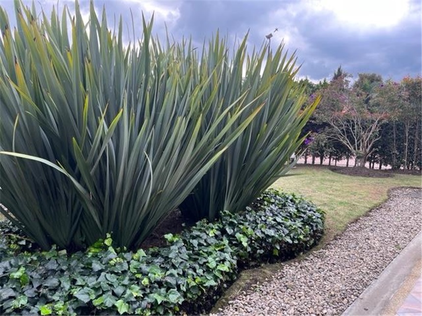 Casa en venta en Guaymaral, Bogotá · foto 24 de 24
