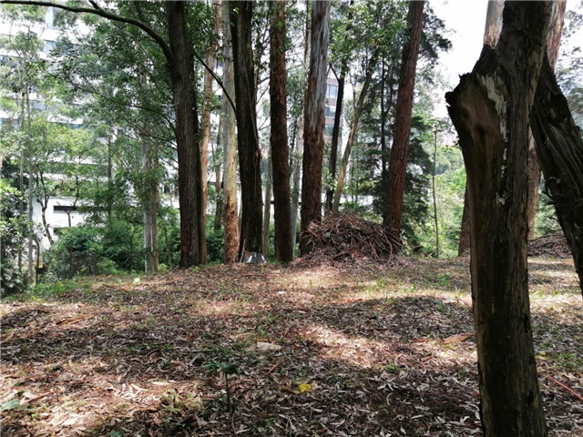 Land in San Lucas (2020 m²) for Sale