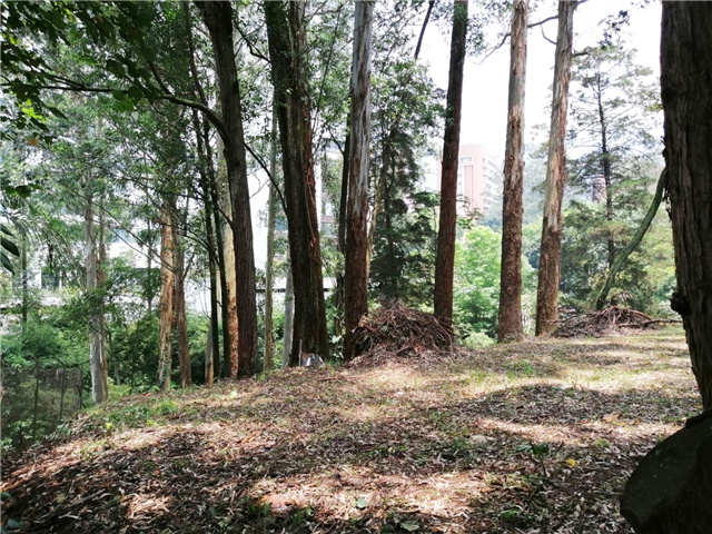 Land in San Lucas (2020 m²) for Sale - 3