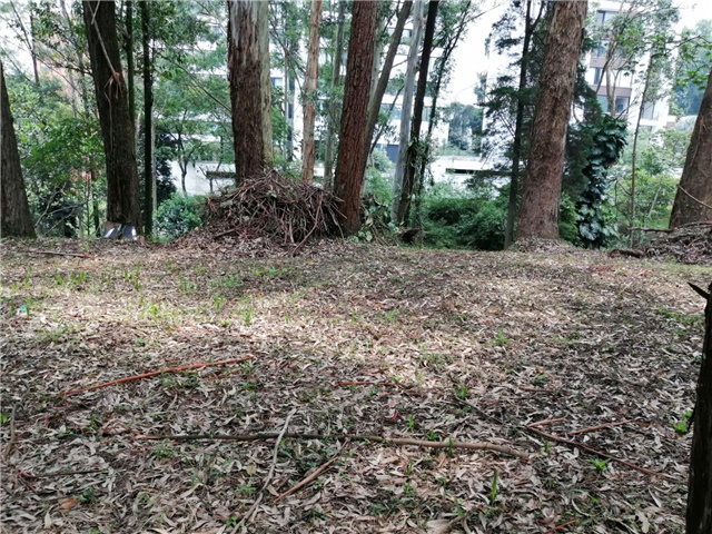 Land in San Lucas (2020 m²) for Sale - 4