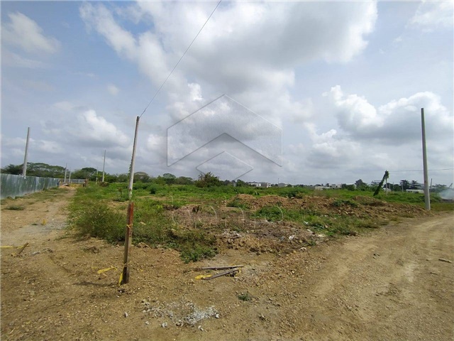 Lote en venta en Campo Alegre, Montería, 735 m² · foto 2 de 12