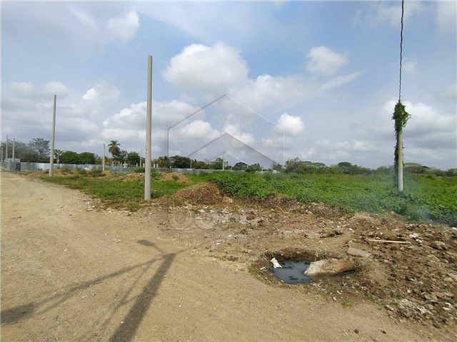 Lote en venta en Campo Alegre, Montería, 735 m² · foto 3 de 12