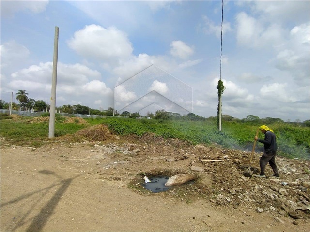 Lote en venta en Campo Alegre, Montería, 735 m² · foto 4 de 12