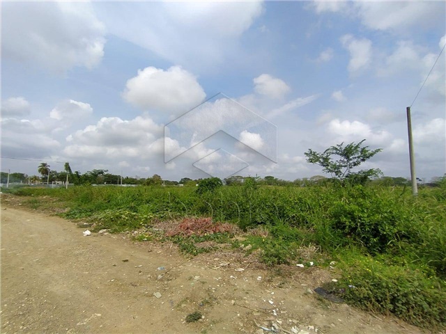 Lote en venta en Campo Alegre, Montería, 735 m² · foto 5 de 12