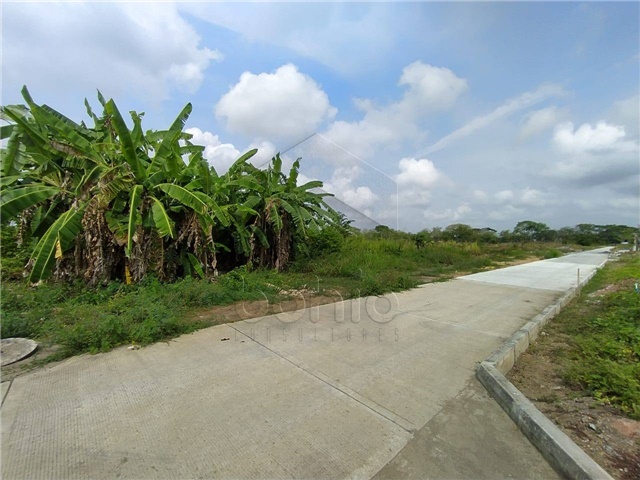 Lote en venta en Campo Alegre, Montería, 735 m² · foto 7 de 12