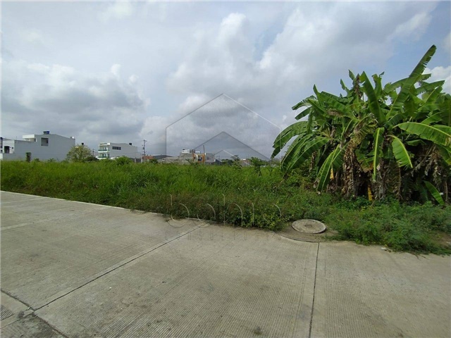 Lote en venta en Campo Alegre, Montería, 735 m² · foto 8 de 12