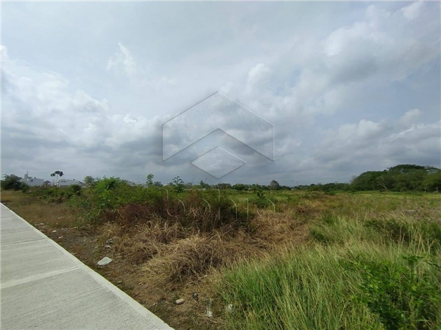 Lote en venta en Campo Alegre, Montería, 735 m² · foto 11 de 12