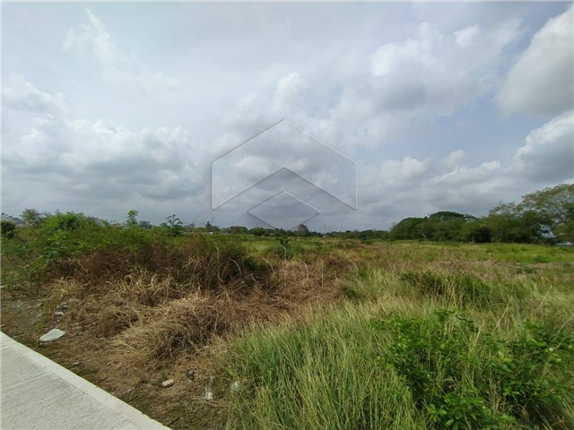 Lote en venta en Campo Alegre, Montería, 735 m² · foto 12 de 12