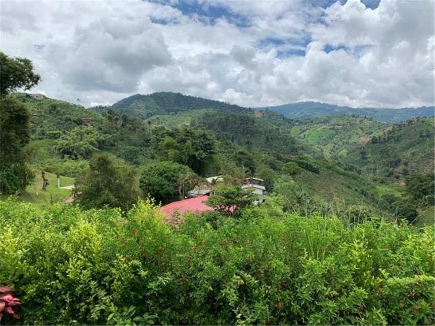 Finca en arriendo en La Cabaña, Manizales, 2200 m² · foto 8 de 24