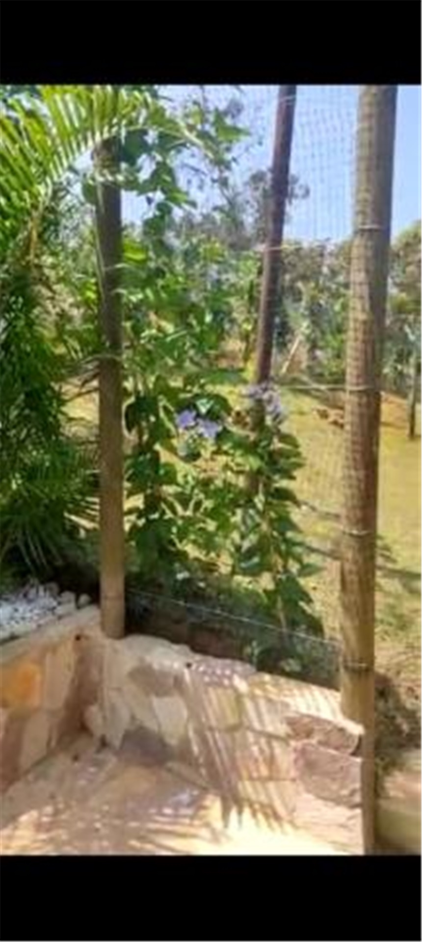 Lote en venta en Ruitoque Alto, Piedecuesta, 950 m² · foto 19 de 24