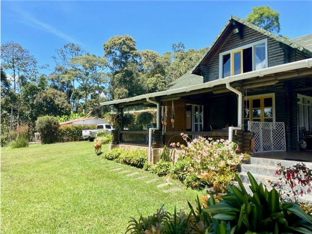 Finca en venta en Lomitas, La Ceja, 10000 m² · foto 3 de 24