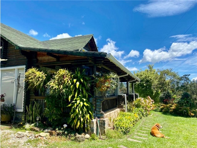 Finca en venta en Lomitas, La Ceja, 10000 m² · foto 9 de 24