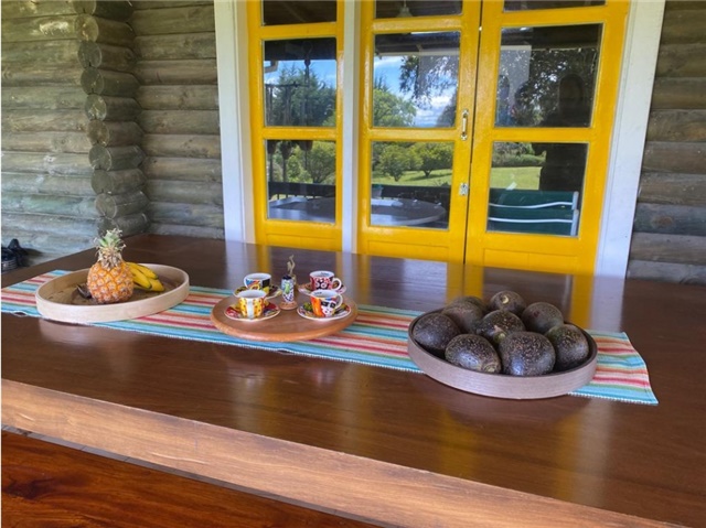 Finca en venta en Lomitas, La Ceja, 10000 m² · foto 18 de 24
