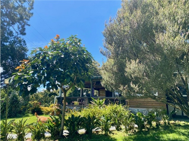 Finca en venta en Lomitas, La Ceja, 10000 m² · foto 23 de 24
