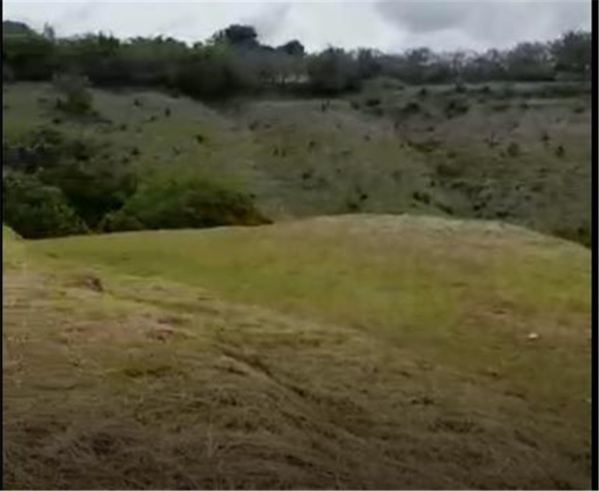 Lote en venta en Cerritos, Pereira, 14000 m² · foto 3 de 4