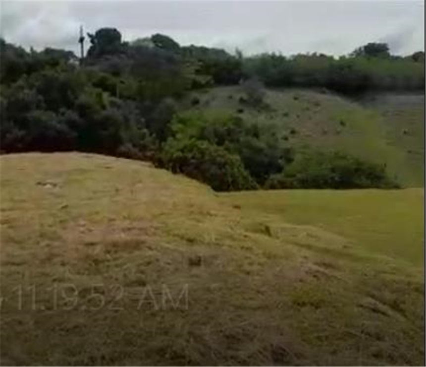Lote en venta en Cerritos, Pereira, 14000 m² · foto 4 de 4