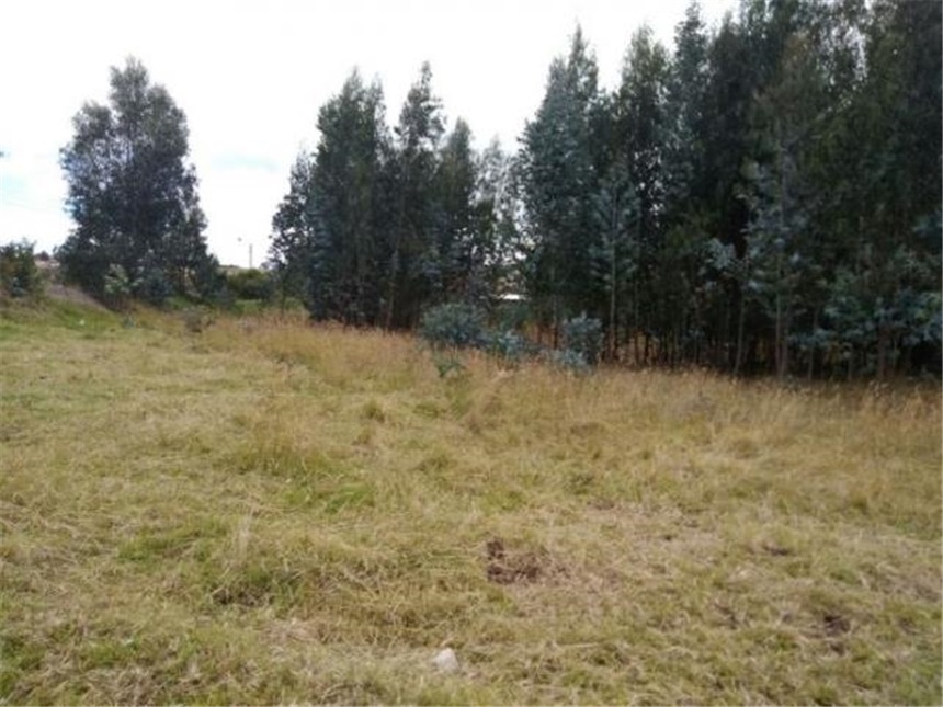 Lote en venta en Obonuco, Pasto, 6225 m² · foto 5 de 6