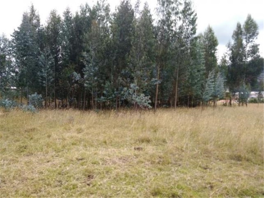 Lote en venta en Obonuco, Pasto, 6225 m² · foto 2 de 6