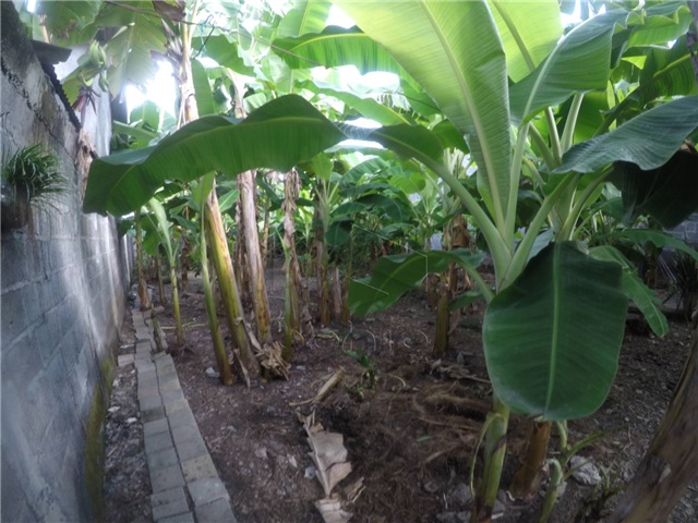 Lote en venta en La Castellana, Montería, 1503 m² · foto 9 de 14