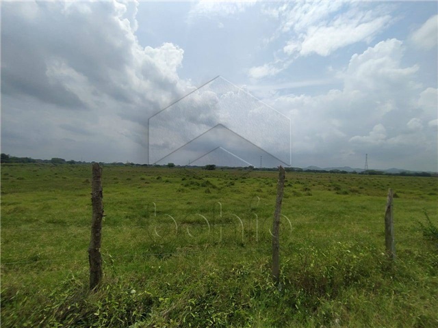 Lote en venta en Las Acacias, Montería, 177 m² · foto 2 de 6