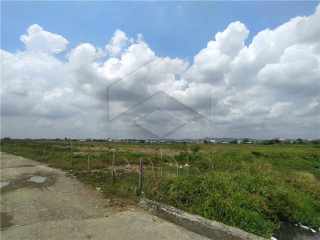 Lote en venta en Las Acacias, Montería, 177 m² · foto 3 de 6