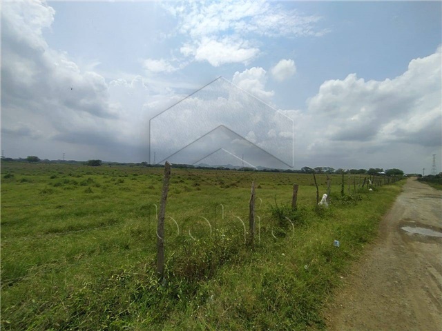 Lote en venta en Las Acacias, Montería, 177 m² · foto 5 de 6