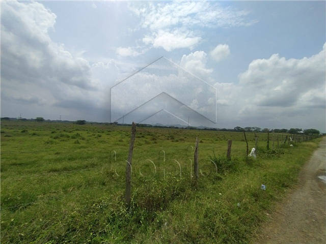 Lote en venta en Las Acacias, Montería, 177 m² · foto 6 de 6