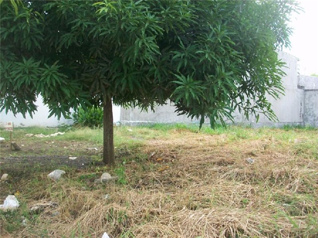 Lote en venta en El Recreo, Montería, 509 m² · foto 2 de 7