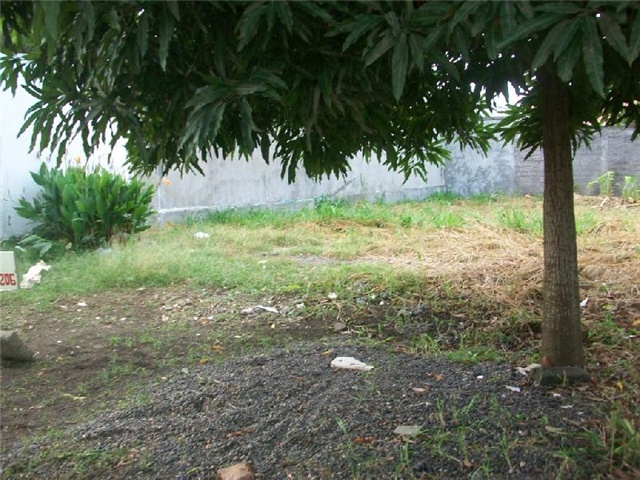 Lote en venta en El Recreo, Montería, 509 m² · foto 4 de 7