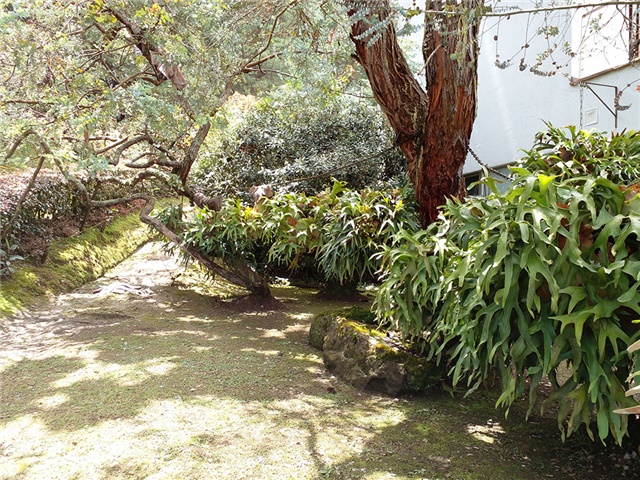Casa de 5 alcobas en venta en Las Palmas, Medellín, 590 m² · foto 20 de 20