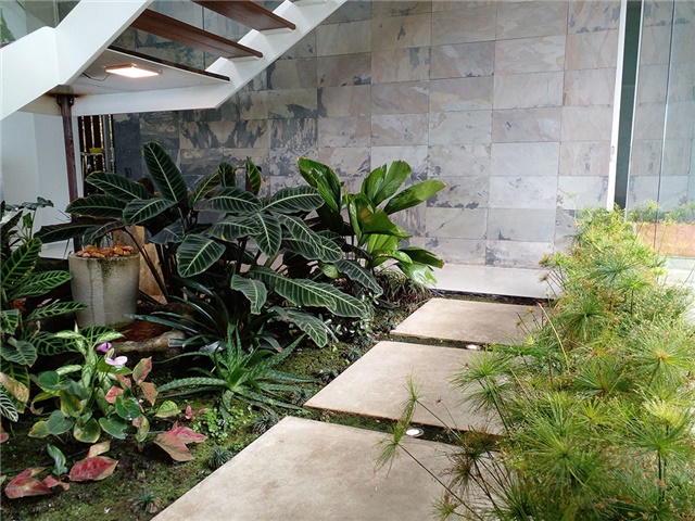 Casa de 4 alcobas en venta en Los Balsos, Medellín, 680 m² · foto 17 de 20
