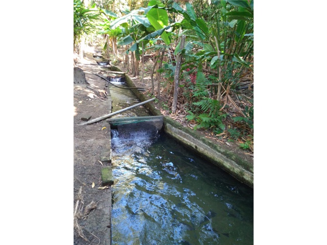 Finca en venta en Bonda, Santa Marta, 65815 m² · foto 10 de 20