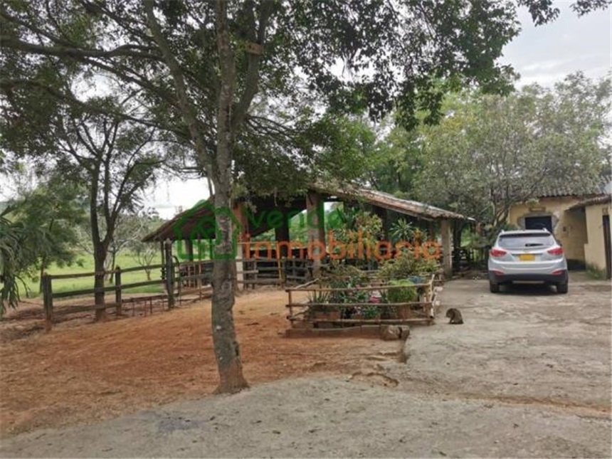 Finca en Venta - Görünüm 3