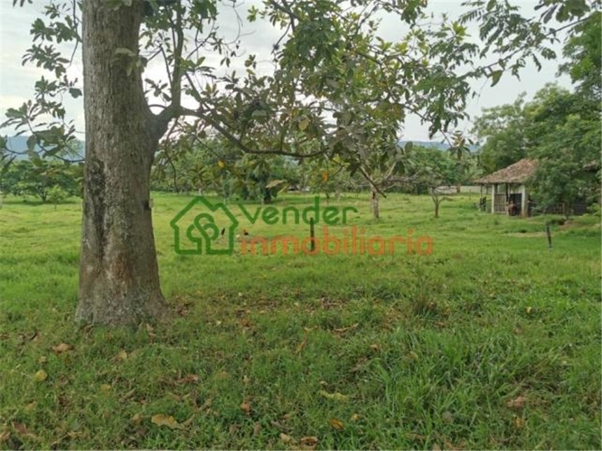 Finca en Venta - Daha fazla