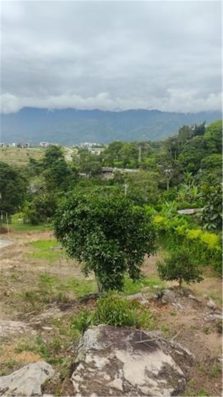 Lote en venta en Ruitoque, Floridablanca, 650 m² · foto 13 de 24