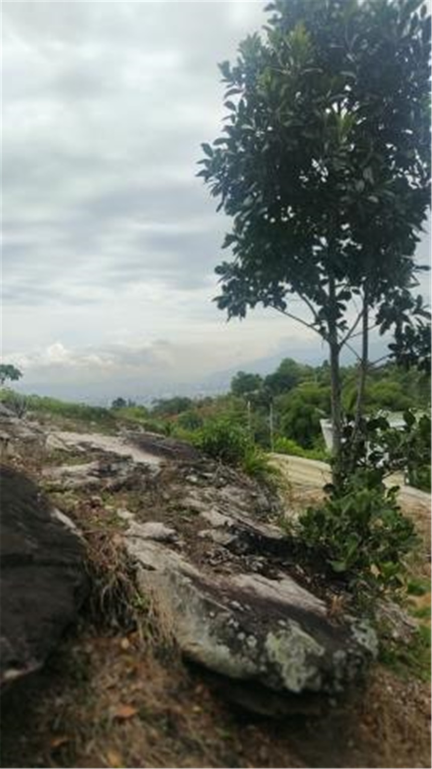 Lote en venta en Ruitoque, Floridablanca, 650 m² · foto 14 de 24