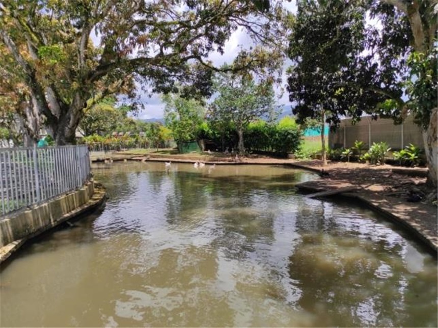 Casa de 5 alcobas en venta en Alfaguara, Jamundí, 354 m² · foto 18 de 20