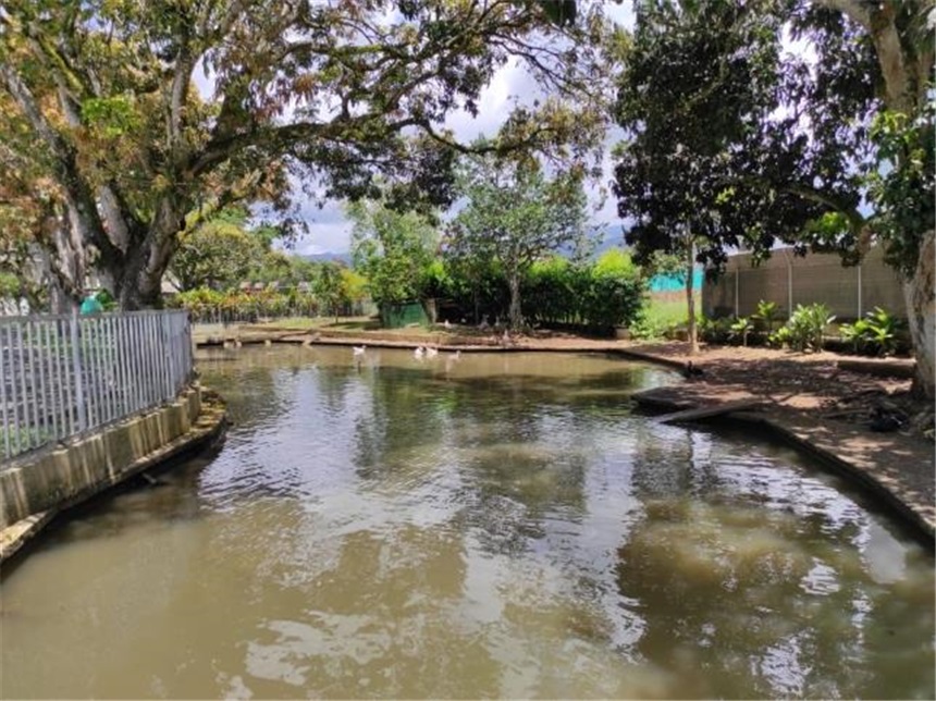 Casa de 5 alcobas en venta en Alfaguara, Jamundí, 291 m² · foto 20 de 22