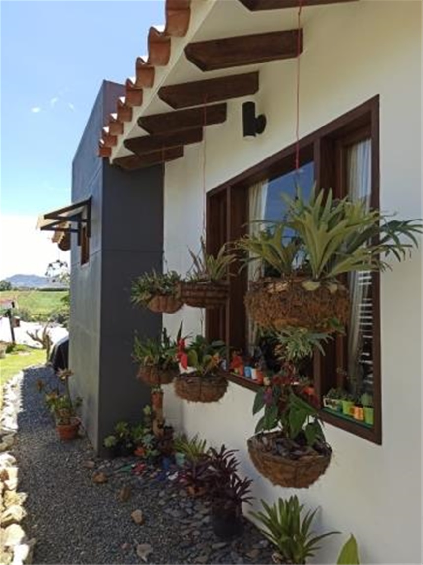Finca en Venta - Mehr