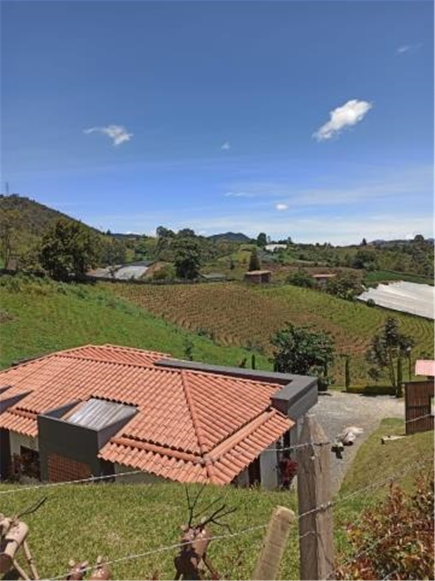 Finca en Venta - Ansicht 5