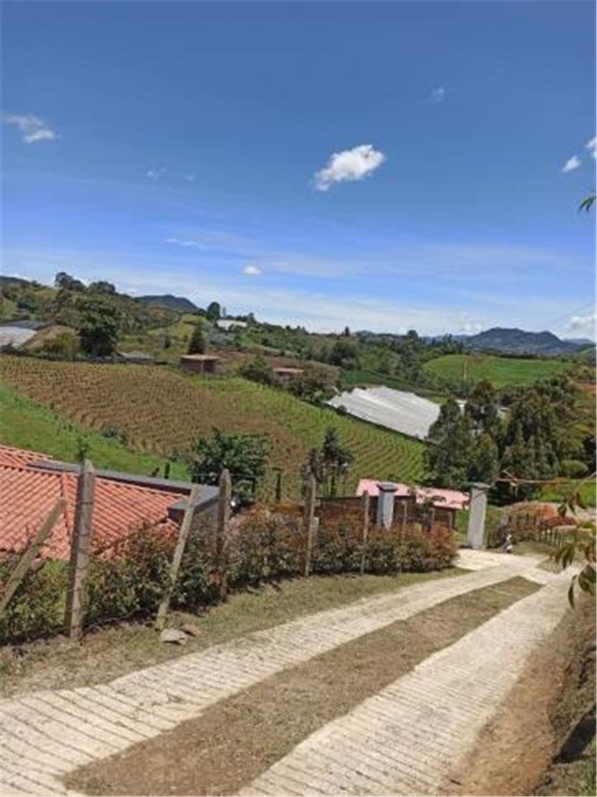 Finca en Venta - Ansicht 4