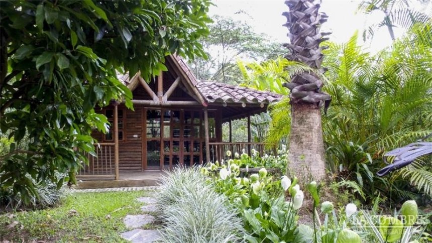 Casa en arriendo en El Poblado, Medellín · foto 4 de 15