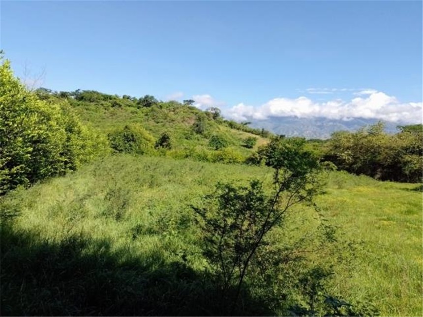 Lote en Venta - Veduta 5