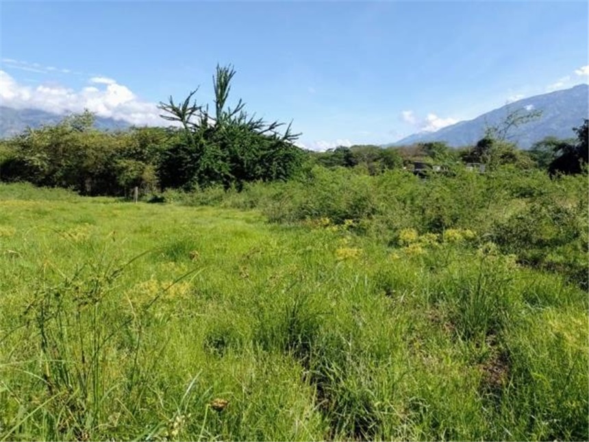 Lote en Venta - Veduta 2