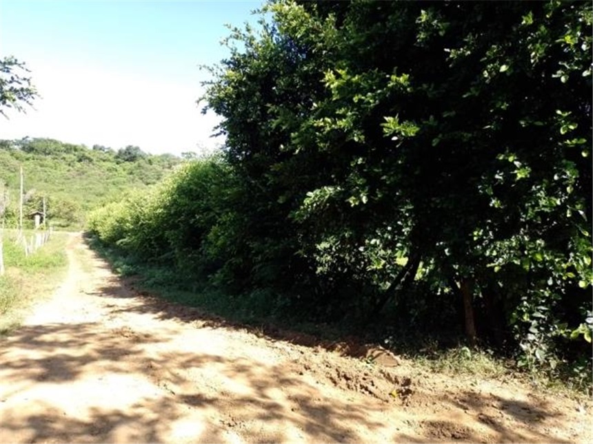Lote en Venta - Veduta 4