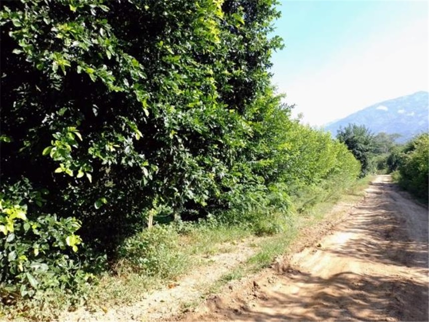 Lote en Venta - Aktar