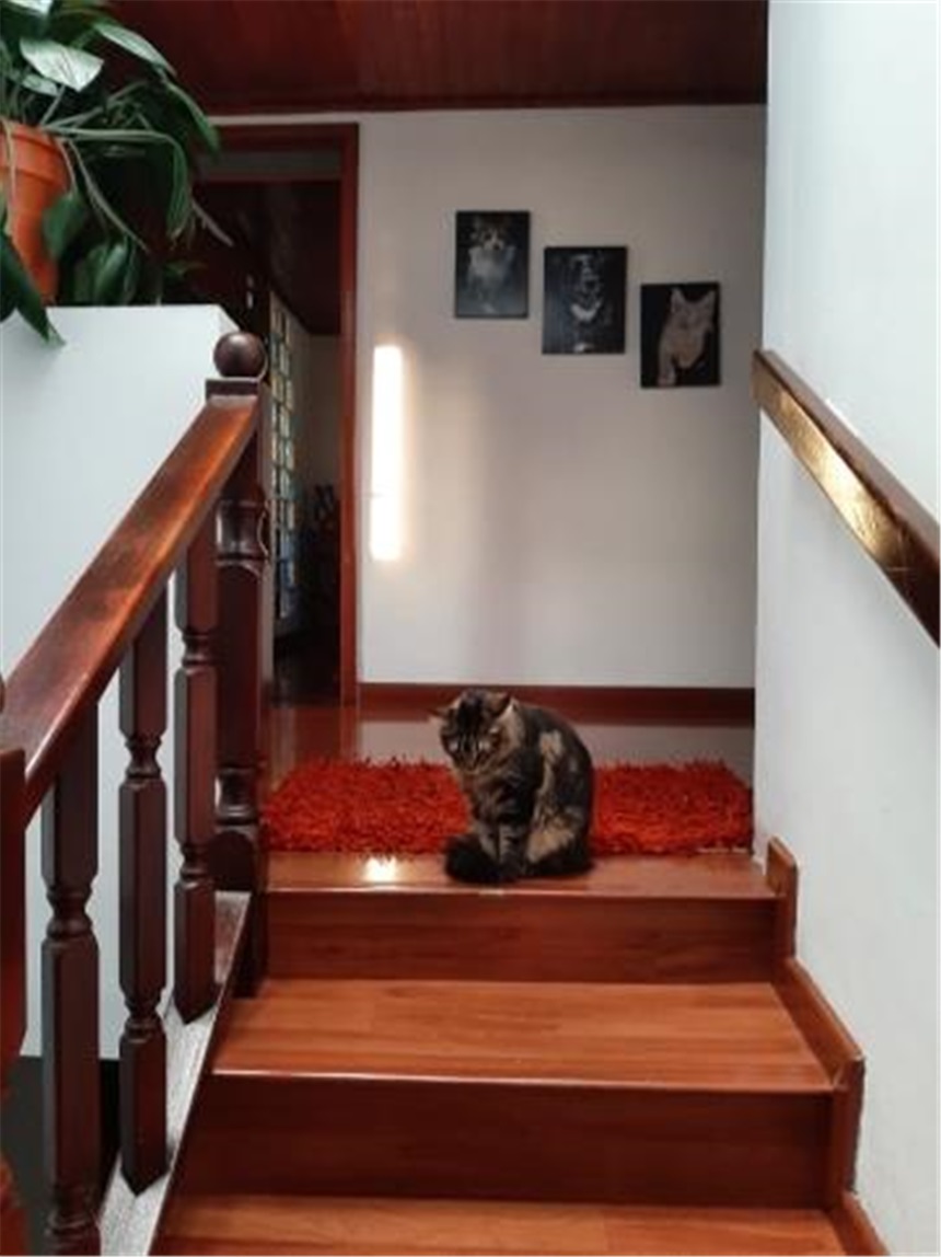 Casa en venta en Fontibon, Bogotá · foto 8 de 19