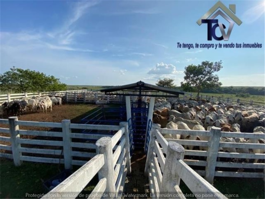 Finca en venta en Conjunto Residencial La Hacienda, Bucaramanga · foto 4 de 9