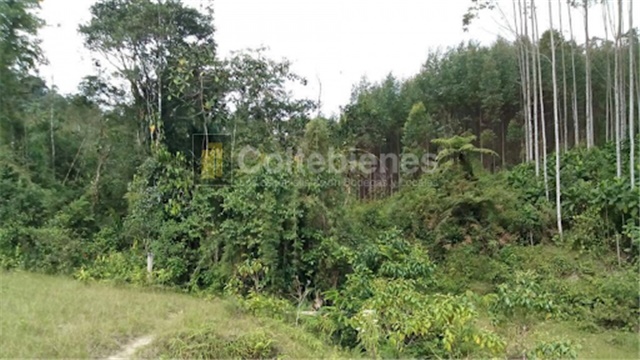 Lote en venta en San Francisco, Soacha, 2428 m² · foto 3 de 18
