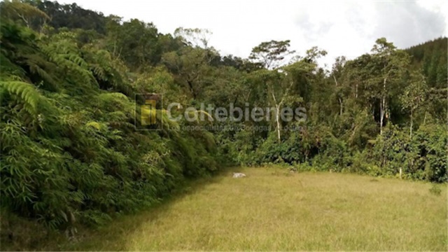 Lote en venta en San Francisco, Soacha, 2428 m² · foto 5 de 18